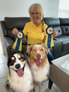 AKC certified dog trainer holding award ribbons with two trained dogs – Star Puppy Academy LLC